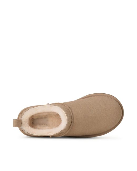 Ugg Brown Classic Micro Ankle Boots