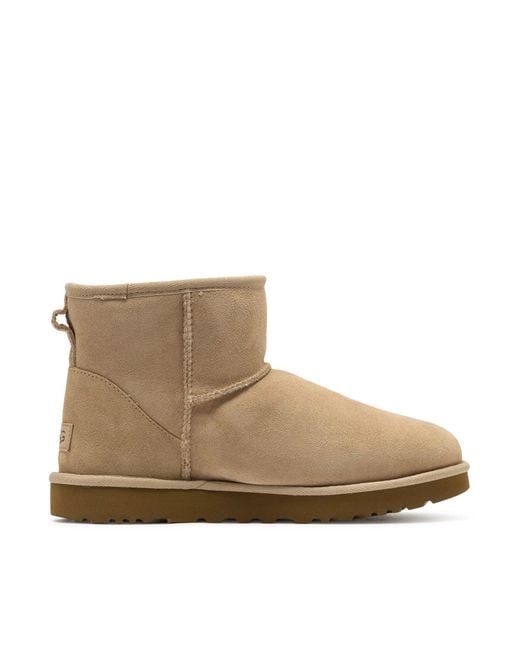 Ugg Brown Classic Mini Ii