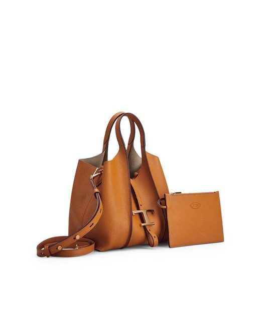 Tod's Brown Totes
