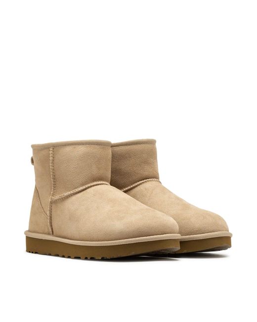 Ugg Brown Classic Mini Ii