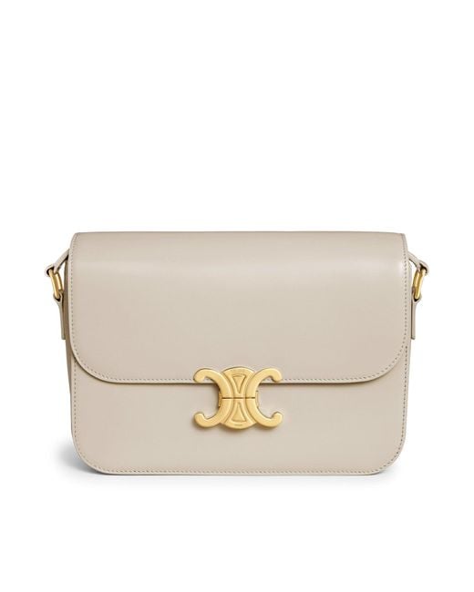 Céline Natural Triomphe Classique Bag In Light Stone Gray Polished Calf Leather