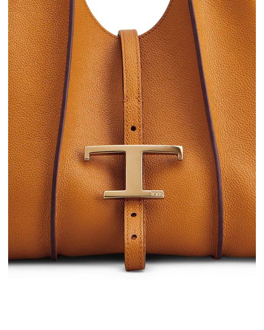 Tod's Brown Totes