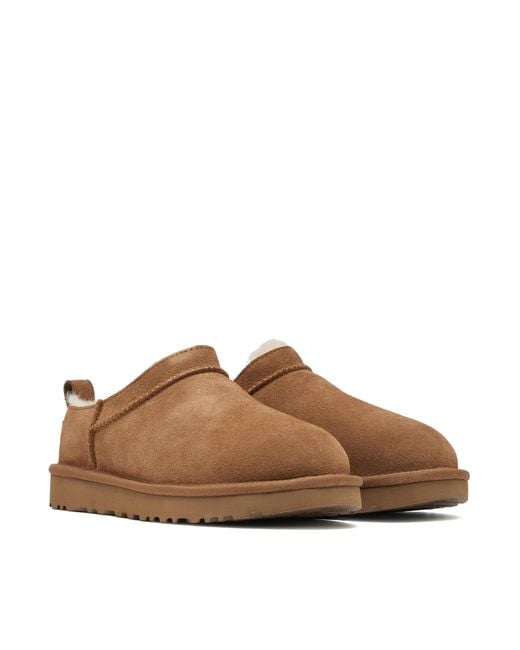 Ugg Brown Classic Micro