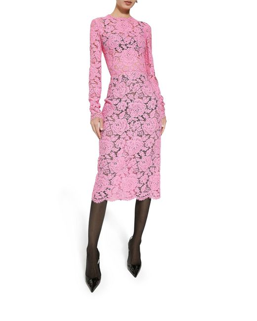 Abito a tubino in pizzo cordonetto floreale logato di Dolce & Gabbana in Pink