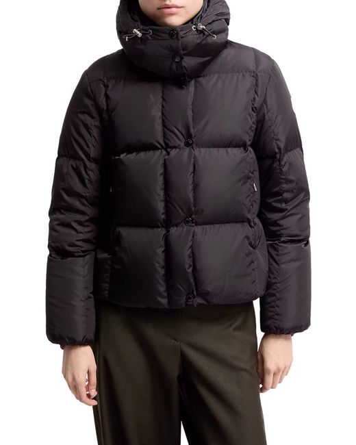 Piumino castlenew con cappuccio di Moncler in Black