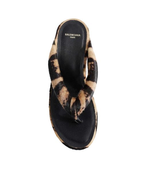 Balenciaga Brown Gaeta Wedge Thong Sandal In Ocelot-print Calf Hair