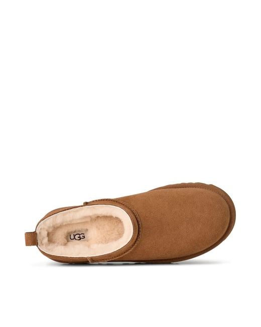 Ugg Brown Classic Micro Boots for men