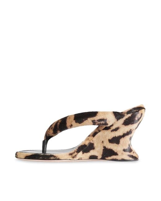 Balenciaga Brown Gaeta Wedge Thong Sandal In Ocelot-print Calf Hair
