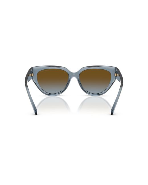 Michael Kors Multicolor 55Mm Gradient Cat Eye Sunglasses