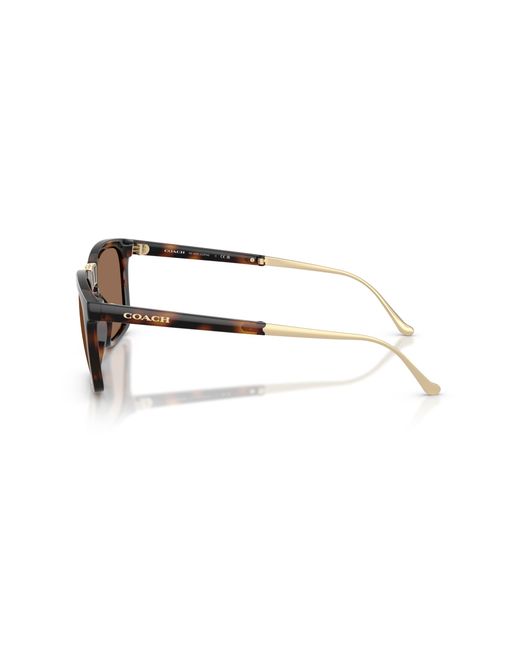 COACH Black Sunglass Cdp54 for men