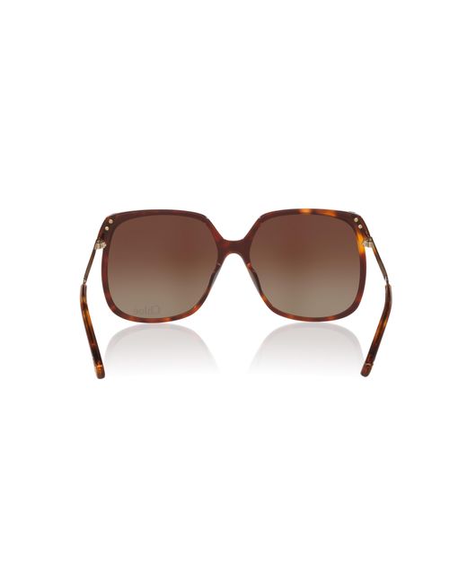 Chloé Black Sunglass Ch0286s
