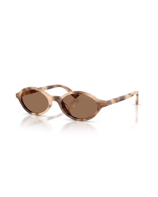 Jimmy Choo Black Sunglass Jc5068u