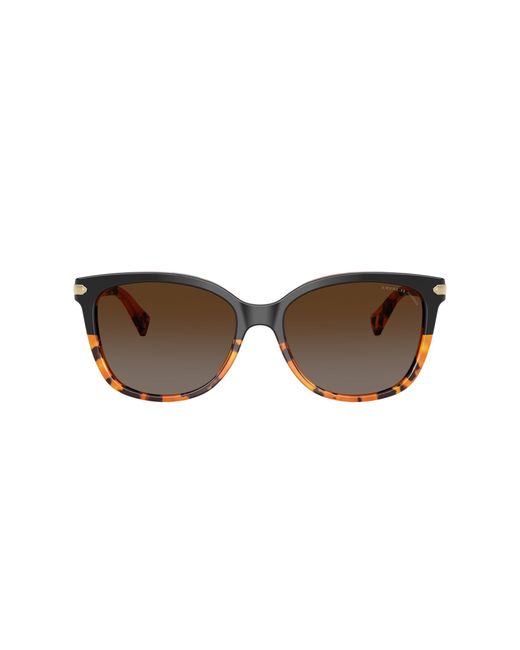 COACH Black Hc8132 Sunglasses
