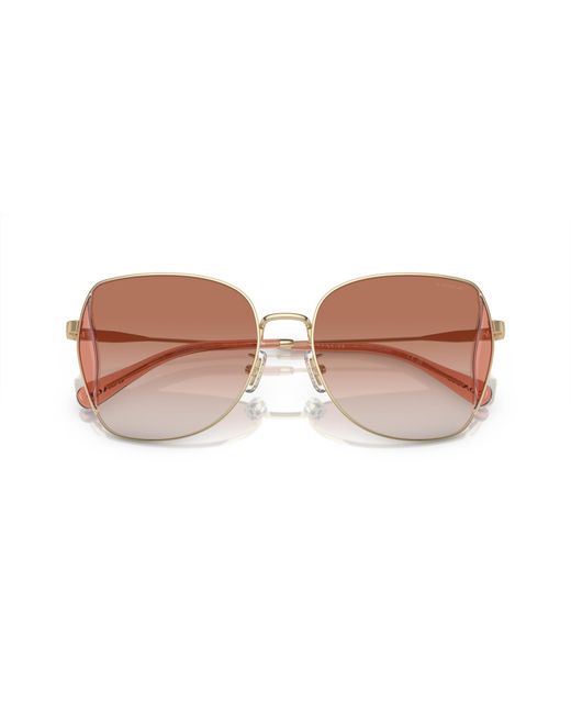 COACH Black Sunglasses Cl906