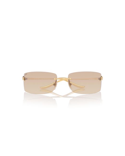 Cartier Black Sunglass Ct0503s