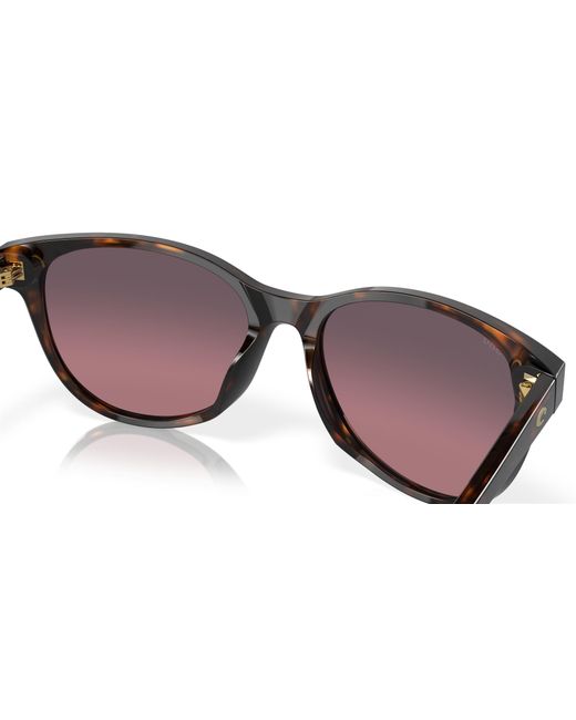 Costa Black Sunglass Catherine