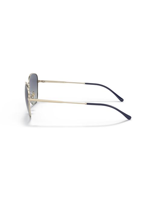 Vogue Eyewear Black Sunglass Vo4232s