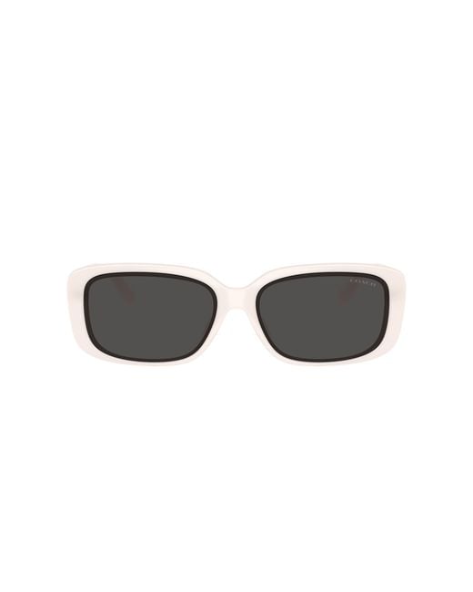 COACH Black Sunglass Cby86