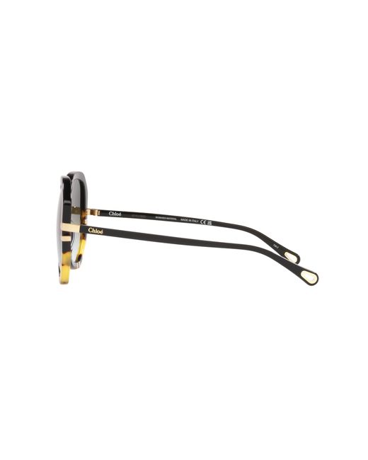 Chloé Black Sunglass Ch0105s