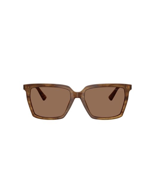 Jimmy Choo Black Sunglass Jc5051