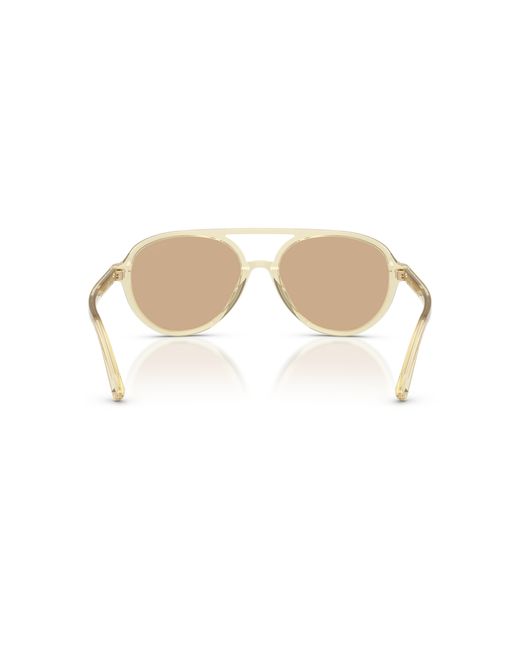 Jimmy Choo Black Sunglass Jc5055u