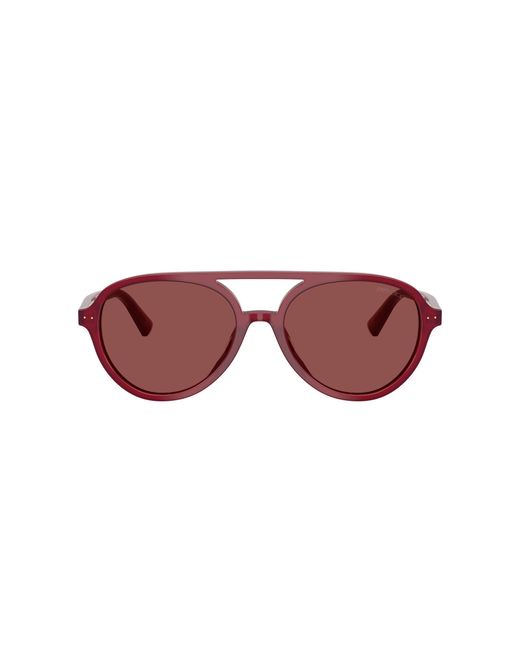 Jimmy Choo Black Sunglass Jc5055u