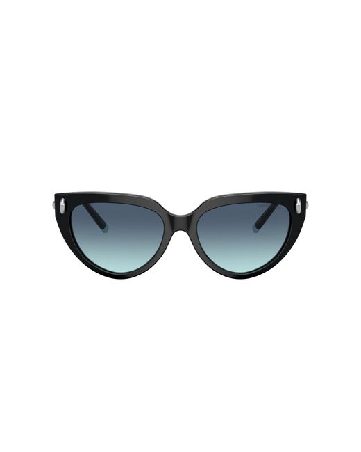 Tiffany & Co Black Sunglasses Tf4195f