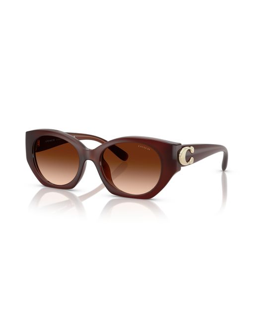 COACH Black Sunglass Cw194