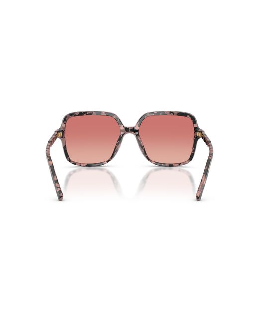 Dolce & Gabbana Black Sunglass Dg4539