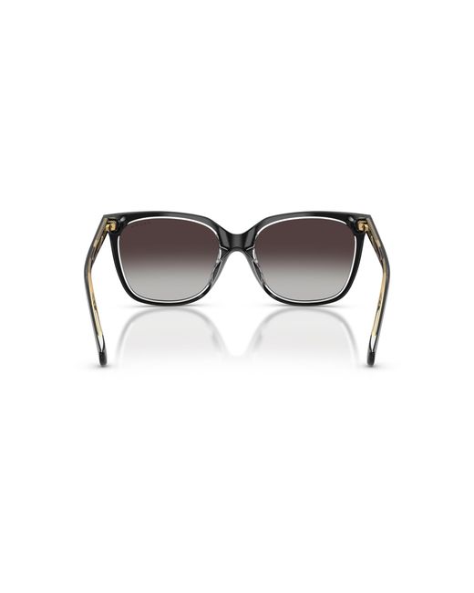 Ralph Black Sunglass Ra5343u