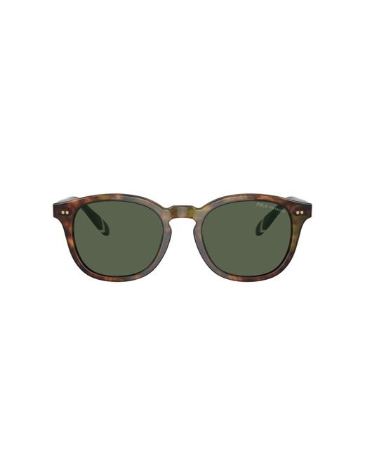 Polo Ralph Lauren Green Ph4206 Sunglasses for men