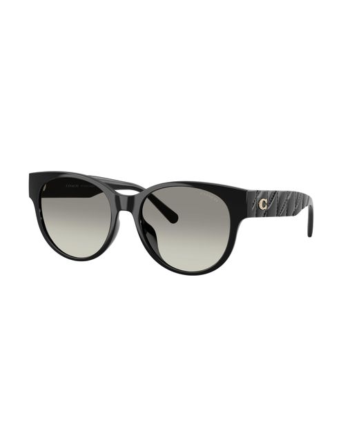 COACH Black Sunglass Cae87