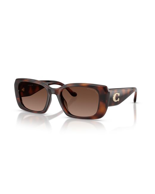 COACH Black Sunglass Hc8435u Cby82
