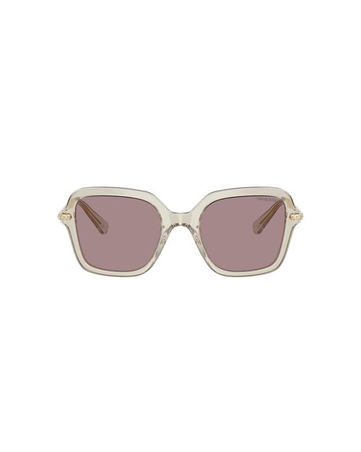 Swarovski Black Sunglass Sk6040