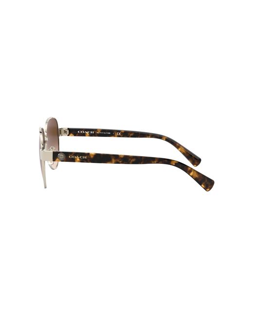 COACH Black Hc7111 Sunglasses
