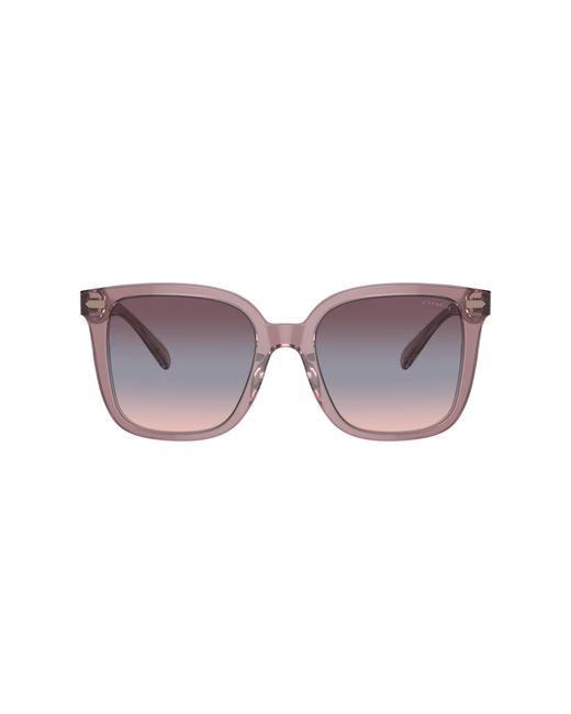 COACH Black Sunglass Cl918