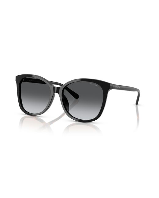 COACH Black Hc8271u Universal Fit Sunglasses