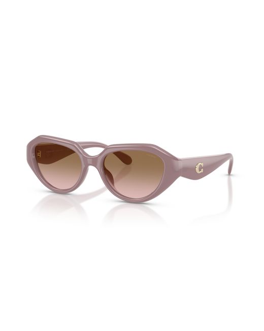 COACH Black Sunglass Cby77