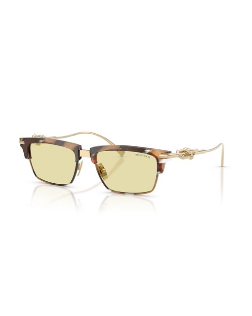 Tiffany & Co Black Sunglass Tf4262k