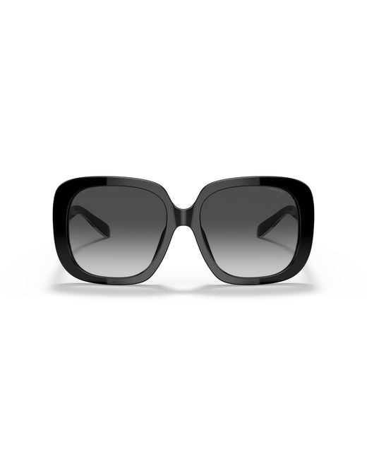 COACH Black Hc8323u Universal Fit Sunglasses