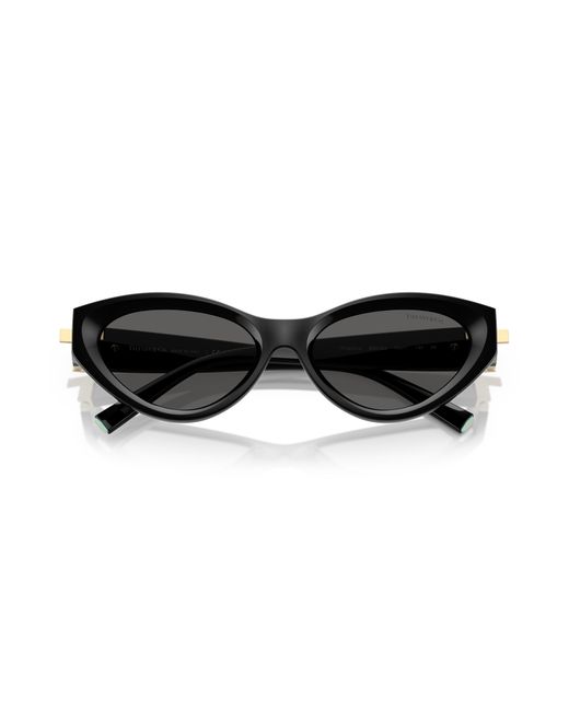 Tiffany & Co Black Sunglasses Tf4225U