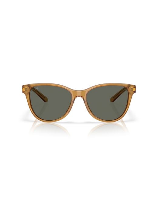 Costa Black Sunglass Catherine