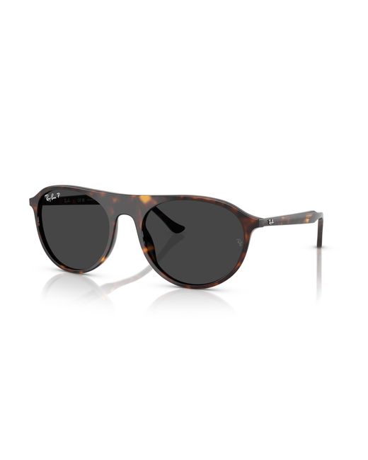 Ray-Ban Black Ray