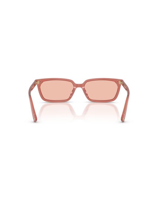 Jimmy Choo Black Sunglass Jc5050u