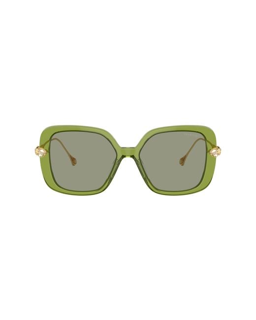 Swarovski Green Sk6011 Sunglasses