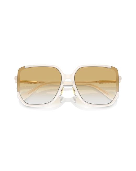 COACH Black Sunglass Cr635