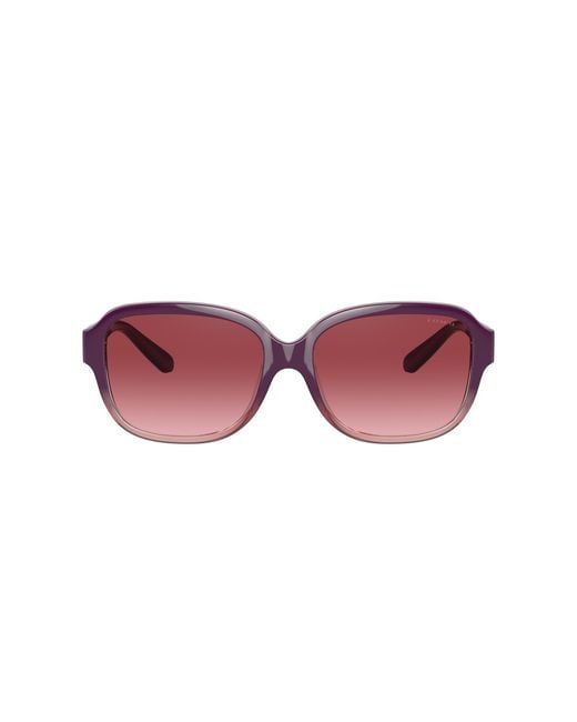 COACH Black Sunglass L1153