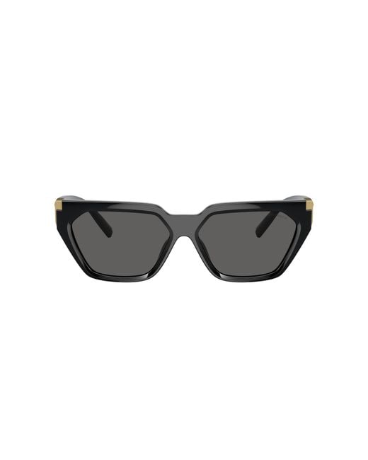 Tiffany & Co Black Sunglass Tf4205u