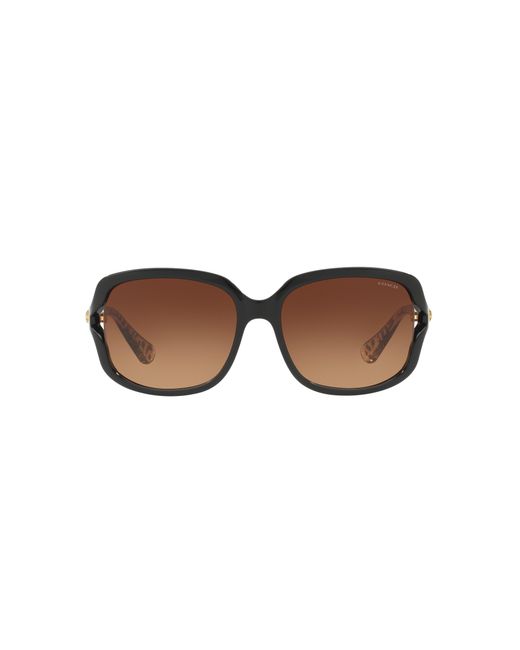 COACH Black Hc8169 Sunglasses