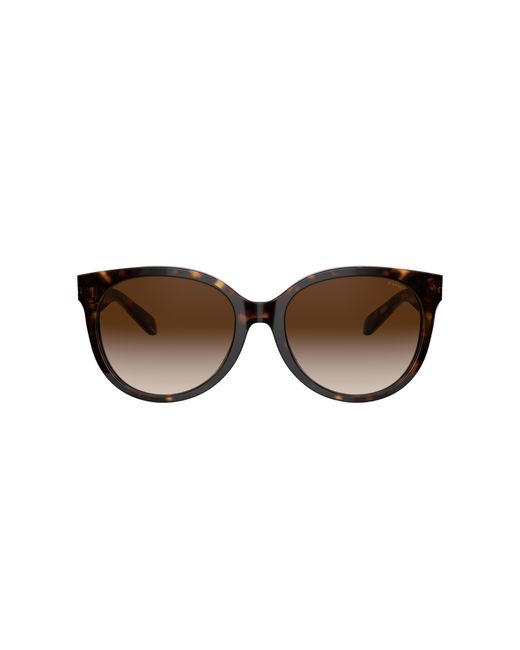 COACH Black Sunglasses Hc8321f